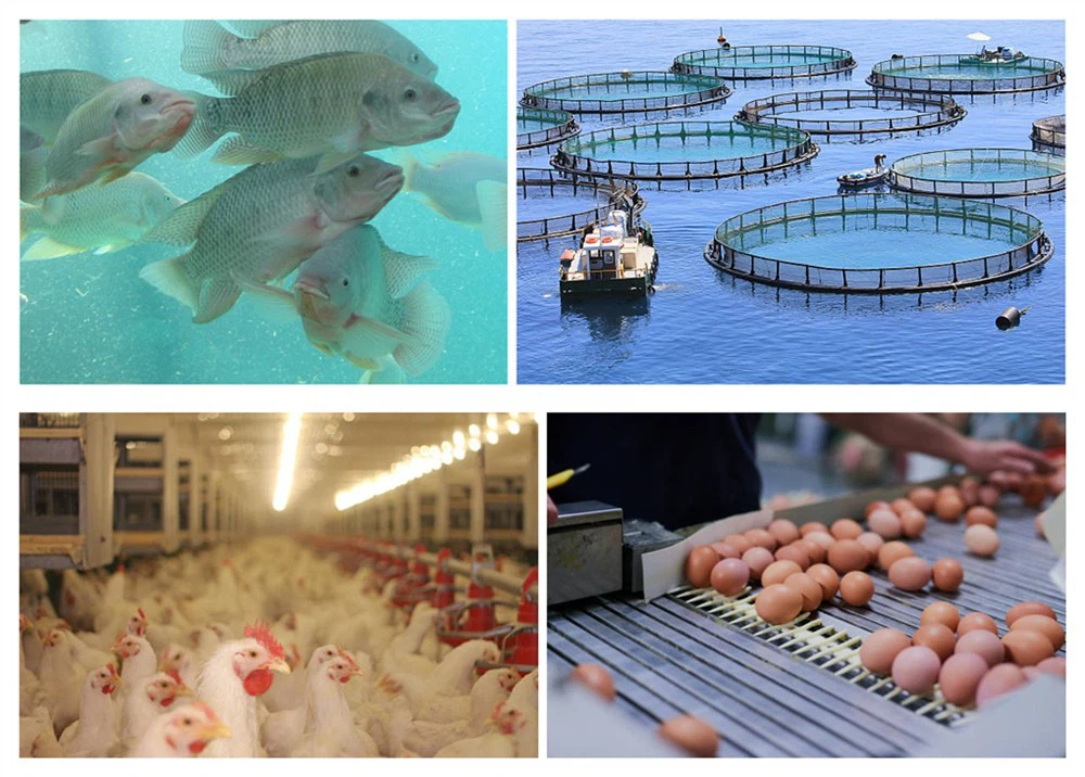 product-1000-716 istockphoto-139670232-612x612__