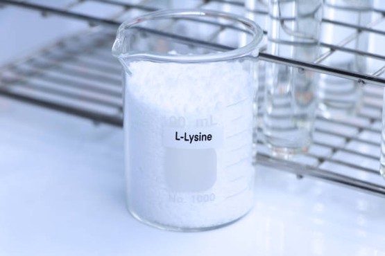 istockphoto-1869539424-612x612 istockphoto-1869539424-612x612