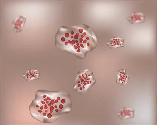 istockphoto-1400075130-612x612 istockphoto-1400075130-612x612