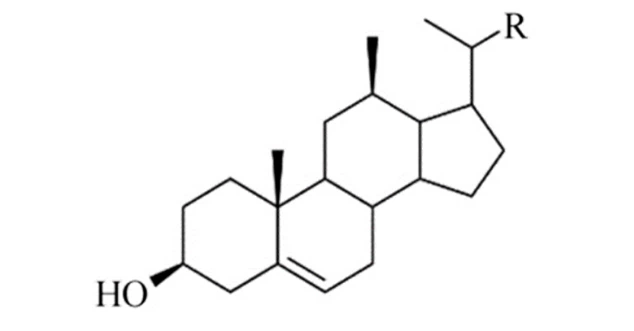 info-634-331 info-634-331