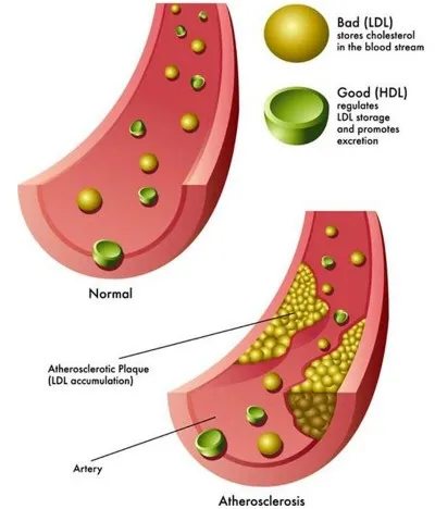 info-691-809 info-691-809