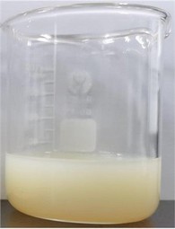 Liposomalt vitamin C